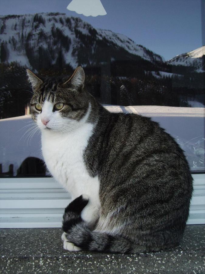 Berghof Voeglerbrand Villa Andelsbuch Esterno foto